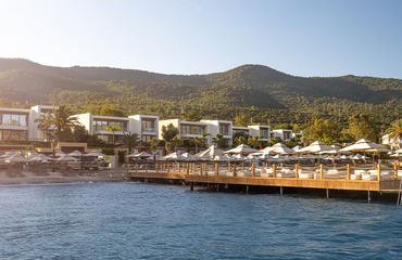 The Norm Collection Door'a